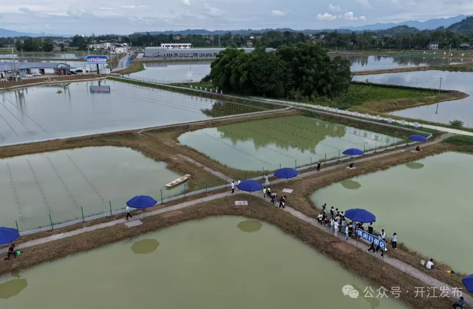 扛起西部珍珠产业发展大旗，四川开江剑指百亿级产业目标-第2张图片-