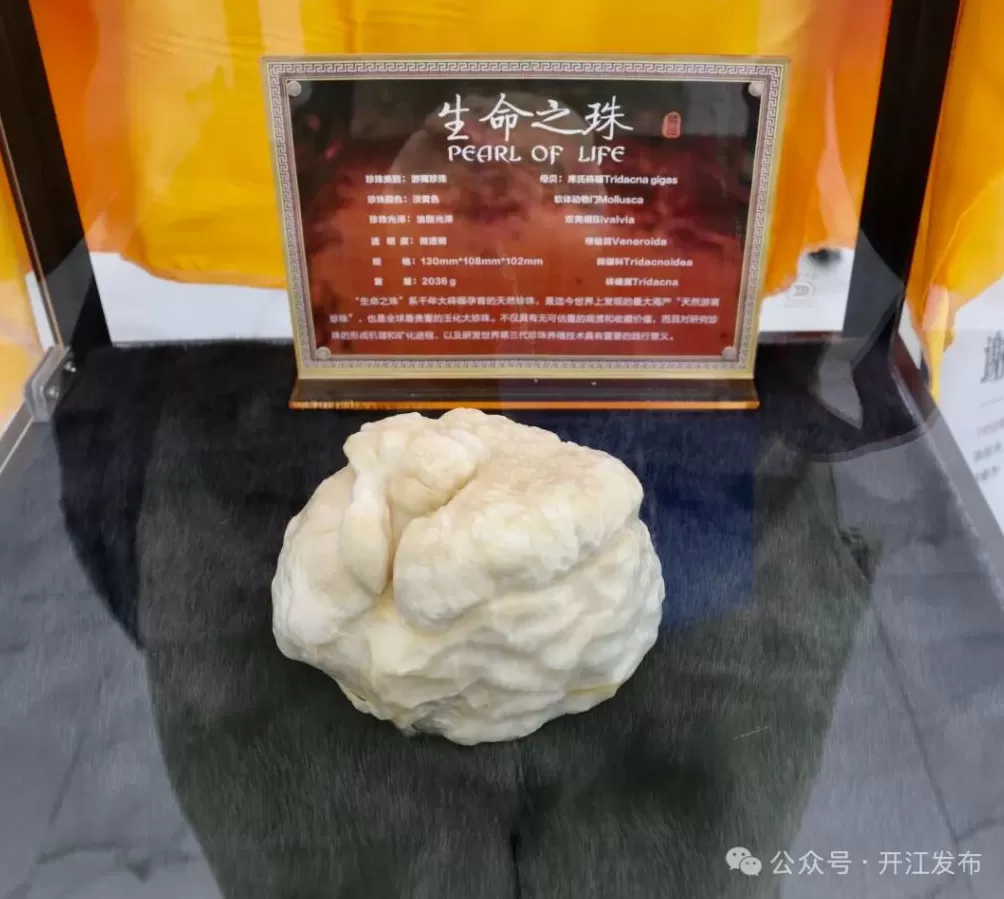 扛起西部珍珠产业发展大旗，四川开江剑指百亿级产业目标-第5张图片-