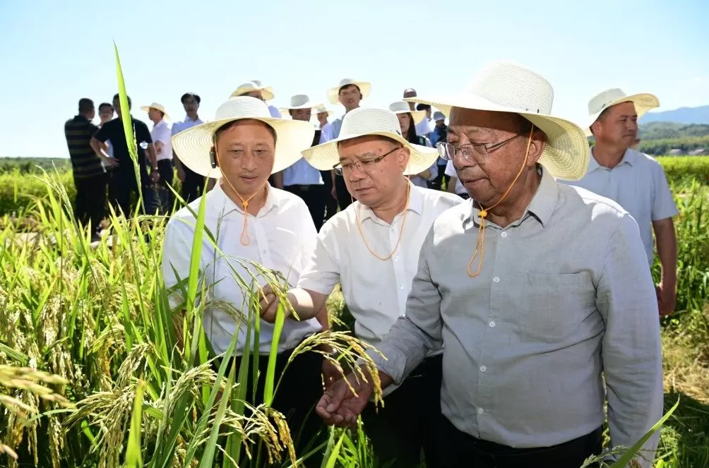 2025年三明市推进中国稻种基地高质量发展会议在建宁举办-第2张图片-