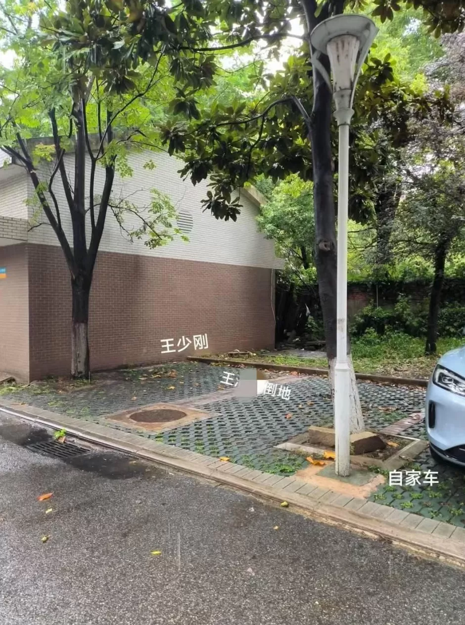 湖北一大学副教授被精神病人打死案二审宣判：撤销原判决，发回重审-第2张图片-