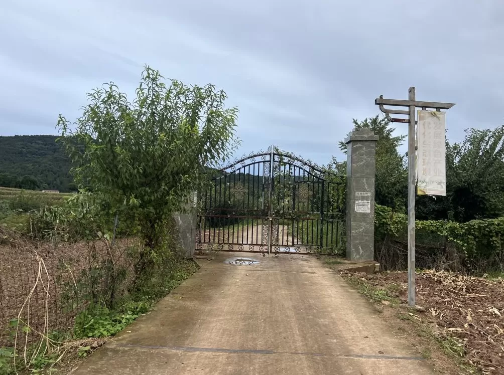 坠机身亡主播“唐飞机”是当地驻村干部，村民讲述救援过程-第1张图片-