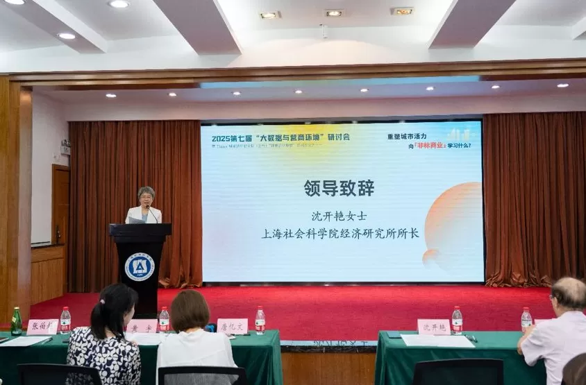 重塑城市活力：2025“‘大数据与营商环境’研讨会”-第3张图片-