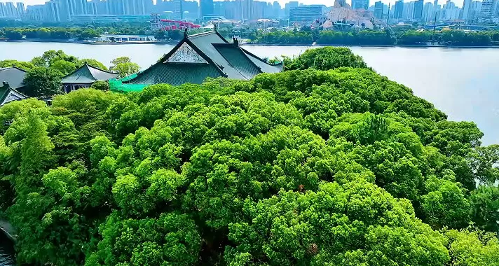 “满血复活”的豫章书院，照见一座城的文化远见-第6张图片-