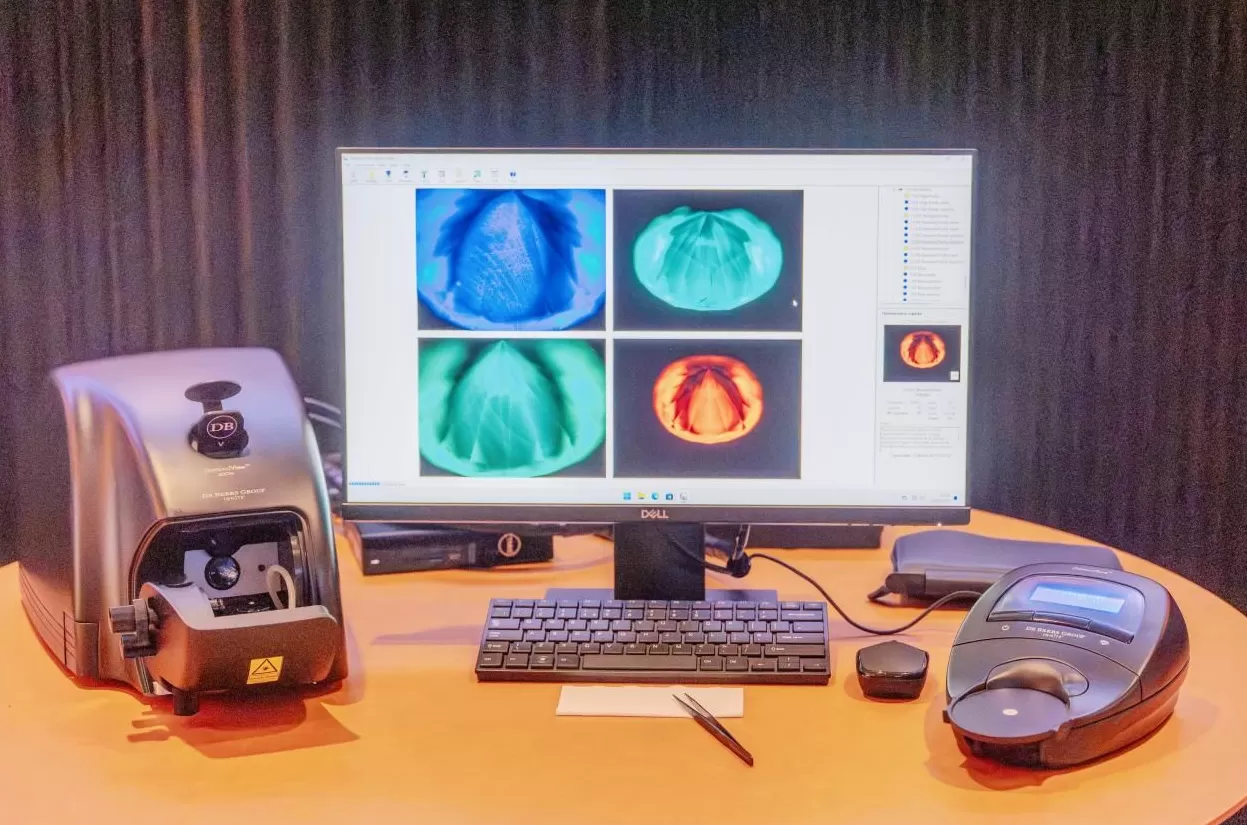 从完美无瑕到独一无二，天然钻石以“自然之美”开启价值转向-第6张图片-