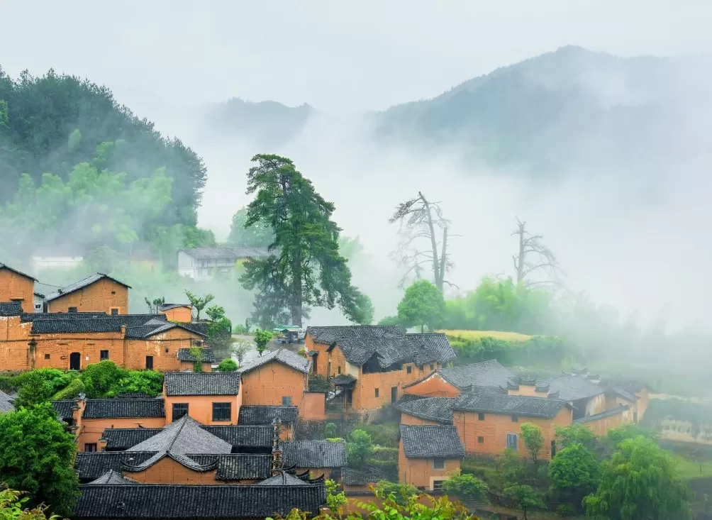 落户浙江小山村，国内首个面向全球的译者驻留平台启动-第2张图片-
