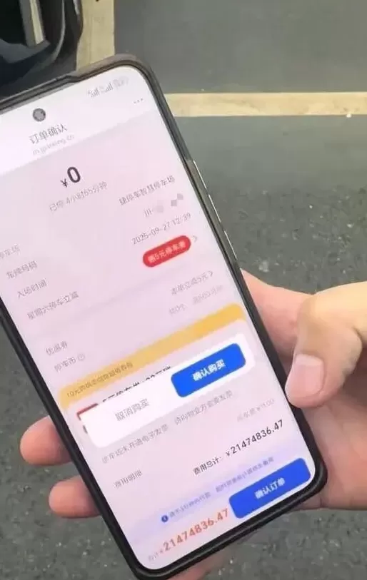 男子称停车不到5小时，要付2000万停车费，“目前不敢取车”，景区：景区外停车场，没法干预-第2张图片-