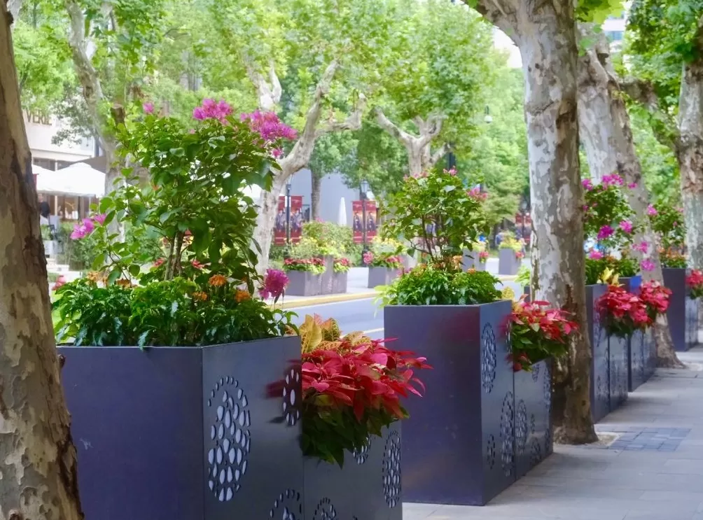 国庆中秋将至，上海换“新装”迎八方来客-第4张图片-