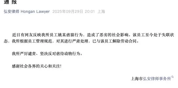 上海一律所通报律师虐猫：已解除劳动合同-第1张图片-