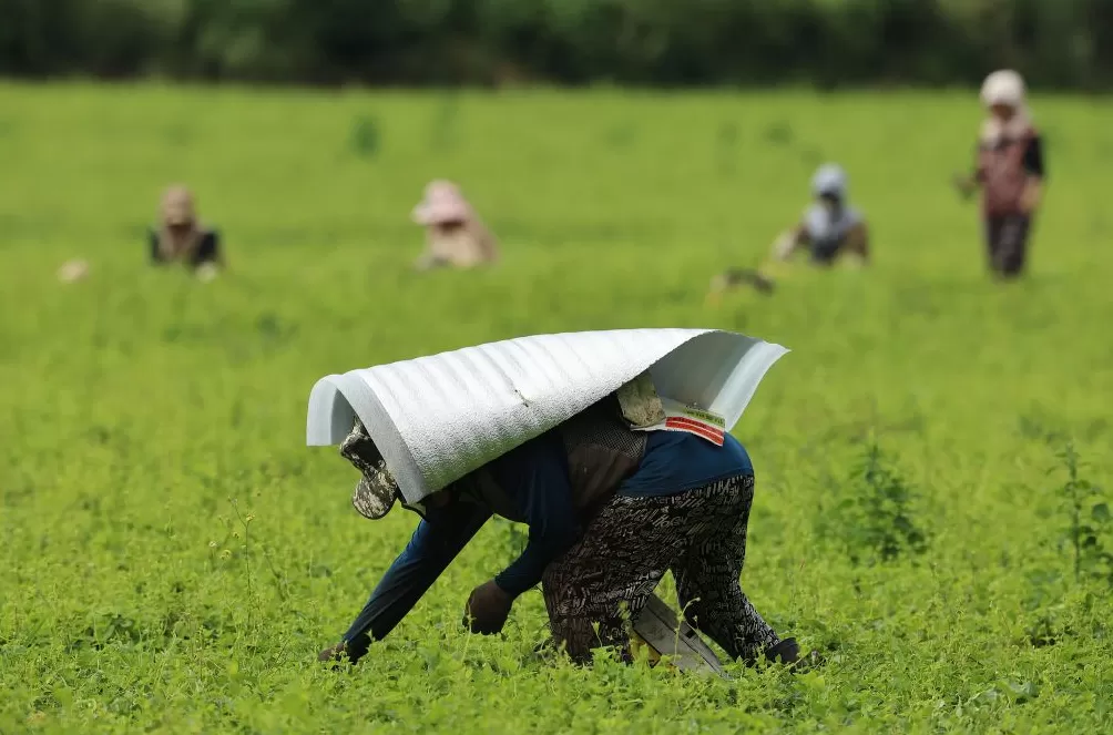 气候资讯｜9月全球前沿气候科学研究&极端天气气候事件-第3张图片-