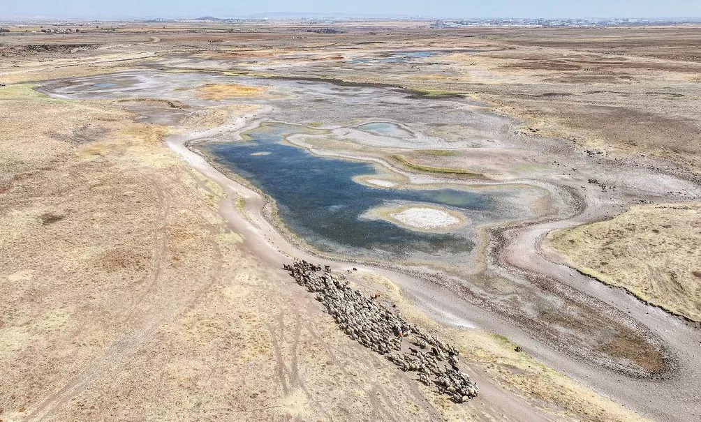 气候资讯｜9月全球前沿气候科学研究&极端天气气候事件-第10张图片-