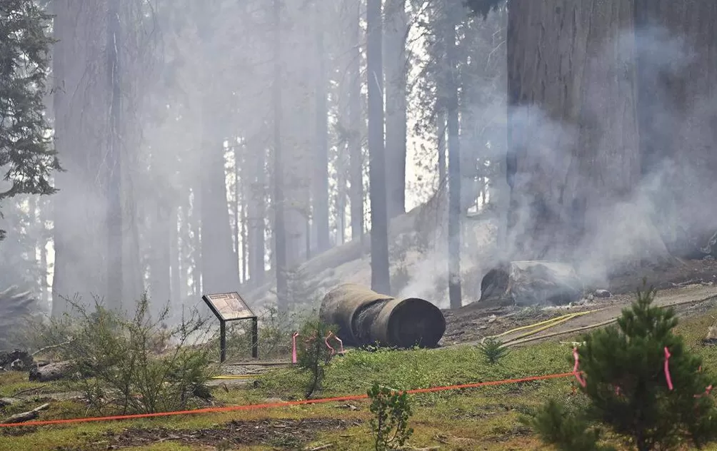气候资讯｜9月全球前沿气候科学研究&极端天气气候事件-第17张图片-