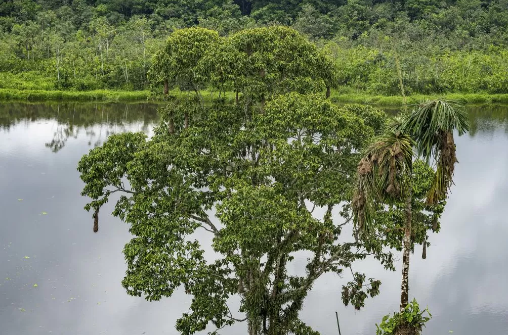 气候资讯｜9月全球前沿气候科学研究&极端天气气候事件-第20张图片-