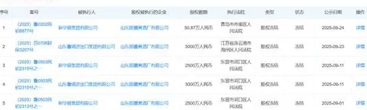 财说| 4.06亿元占用资金如何清偿？新华锦危机四伏-第4张图片-