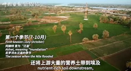 原来这才是古埃及一切神秘的来源……-第2张图片-