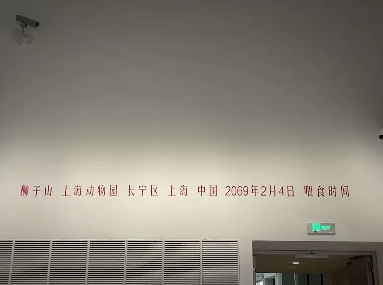 什么是“激浪派”，它跟中国有什么关系？听策展人讲-第23张图片-