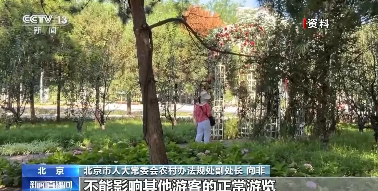北京拟禁止占用观景点“开直播”影响他人行为-第2张图片-