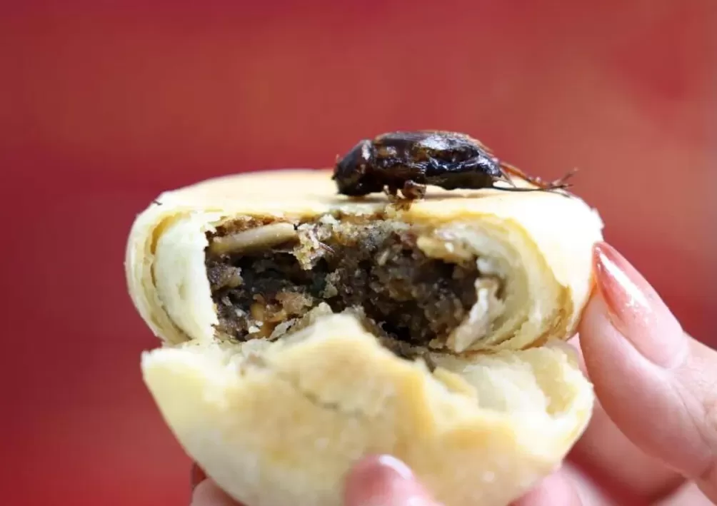 企业推出“蟋蟀馅”月饼，网友：求别创新-第1张图片-