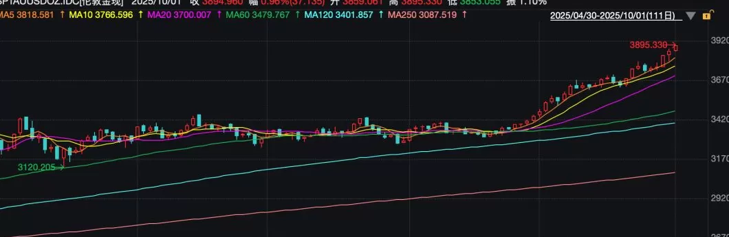 见证历史！金价，新纪录！商家：“不敢轻易增加库存！”-第1张图片-