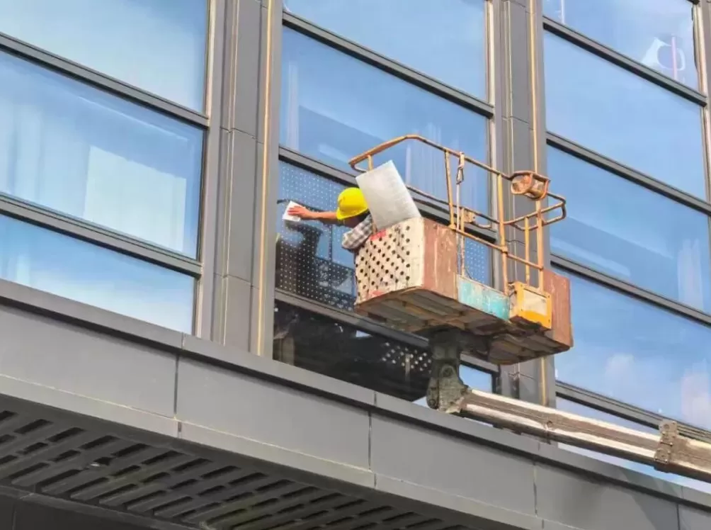 大楼下躺了14只鸟,12只已经死亡!竟是因为玻璃-第2张图片- 大楼下躺了14只鸟,12只已经死亡!竟是因为玻璃-第2张图片-