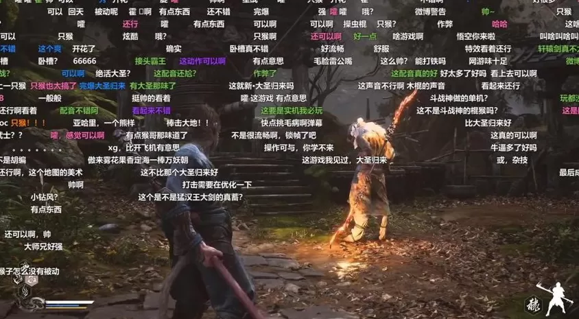 可供观赏的日常生活？直播背后的争议与风险-第1张图片-