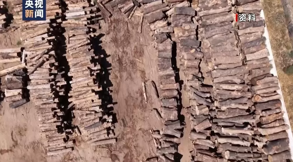 美药物关税10月1日生效被指扰乱供应链-第4张图片- 美药物关税10月1日生效被指扰乱供应链-第4张图片-