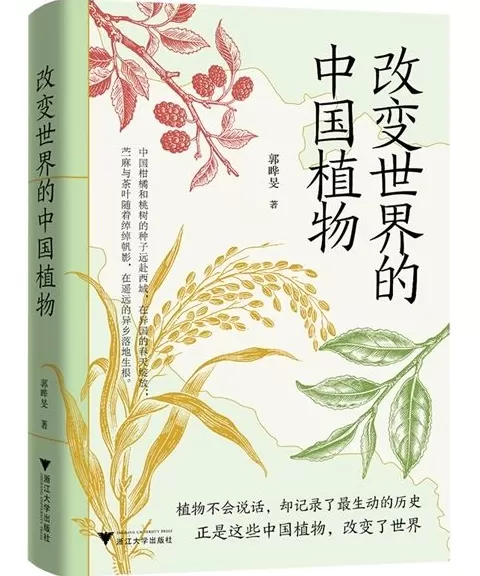 10月人文社科中文原创好书榜｜安史之乱：历史、宣传与神话-第14张图片-