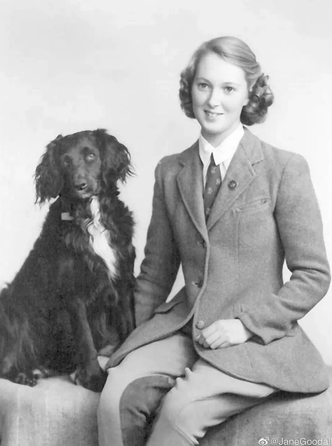 再见了，课本上的传奇！灵长类动物学家珍·古道尔去世-第2张图片-