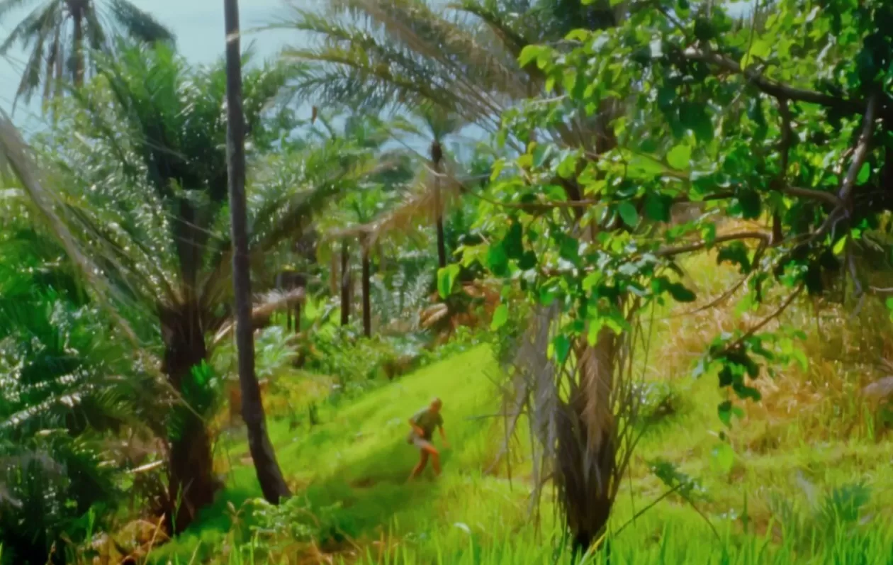 再见了，课本上的传奇！灵长类动物学家珍·古道尔去世-第9张图片-