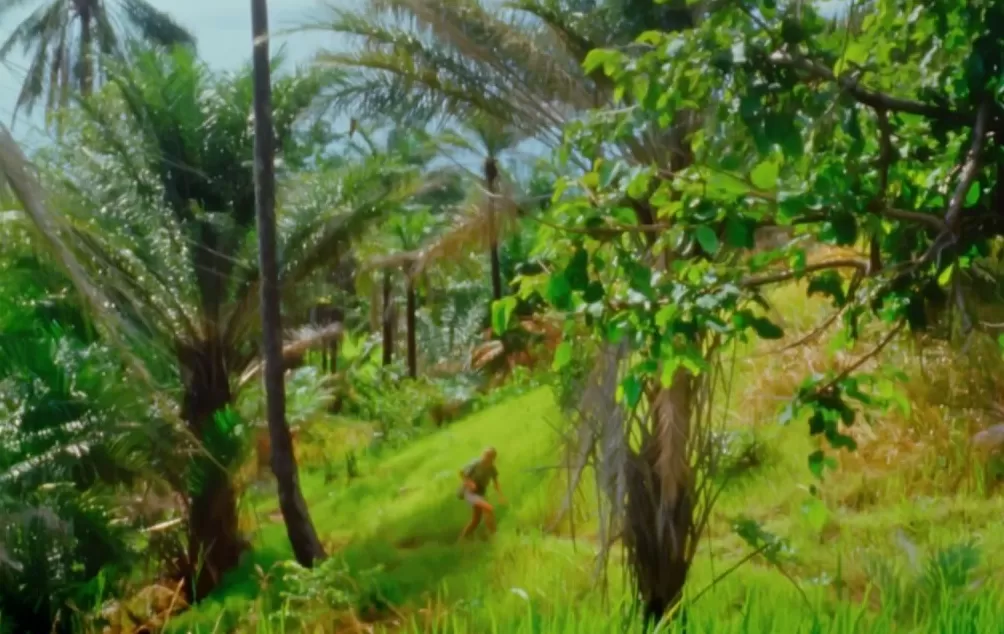 再见了课本上的传奇灵长类动物学家珍·古道尔奶奶去世-第9张图片-