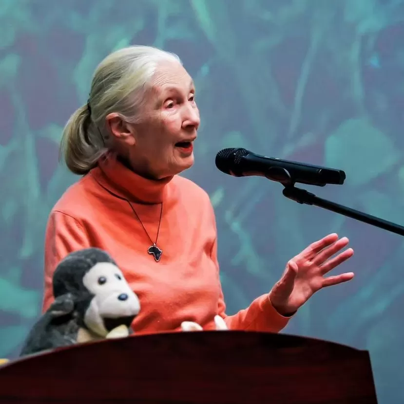 纪念珍·古道尔：“不能只靠科学改变世界，我们还需要希望”-第3张图片-