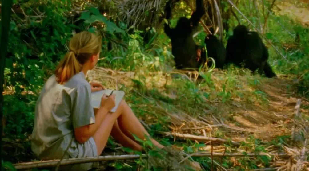 珍·古道尔走了，一场伟大的消逝-第3张图片-