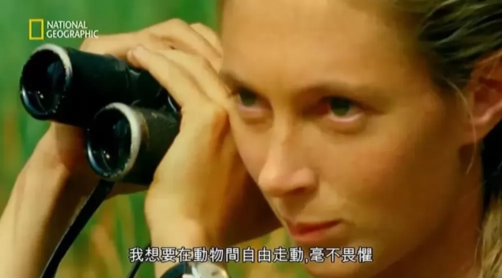 珍·古道尔走了，一场伟大的消逝-第4张图片-