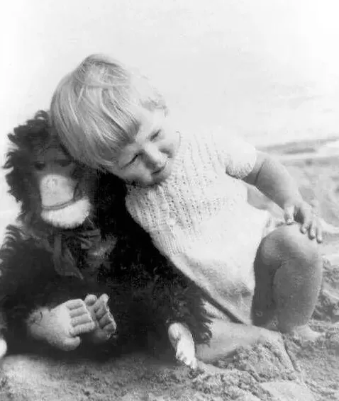 珍·古道尔走了，一场伟大的消逝-第7张图片-