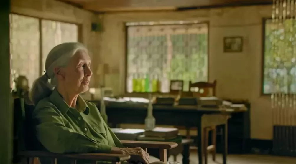 珍·古道尔走了，一场伟大的消逝-第13张图片-