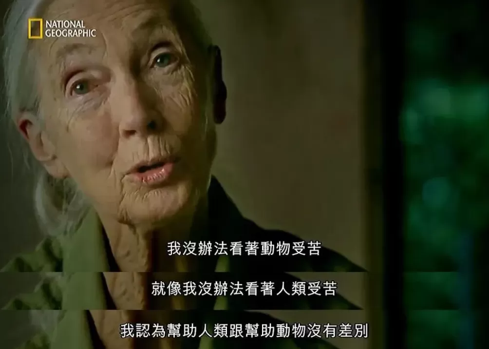 珍·古道尔走了，一场伟大的消逝-第12张图片-