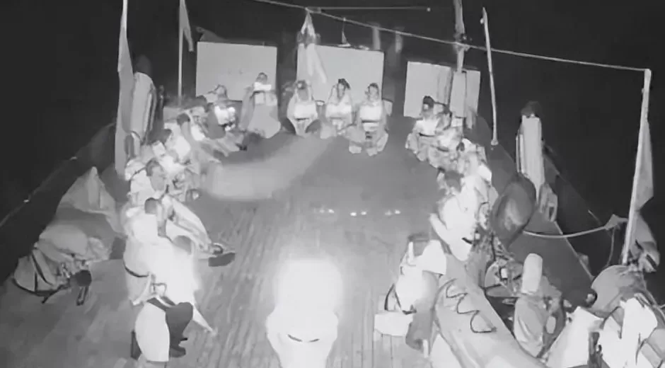 “环保少女”被以军扣押-第2张图片-