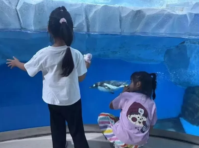 假期旅游消费，“燃”起来了-第6张图片-