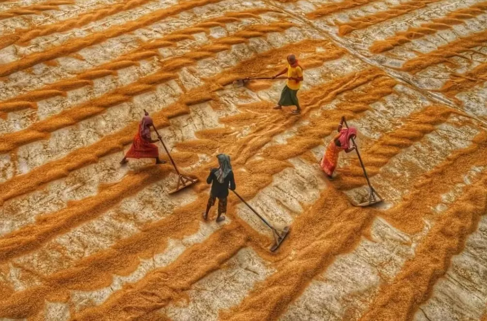 “他们为何不愿放弃农村户口？”背后是一场城乡关系的静默倒转-第2张图片-