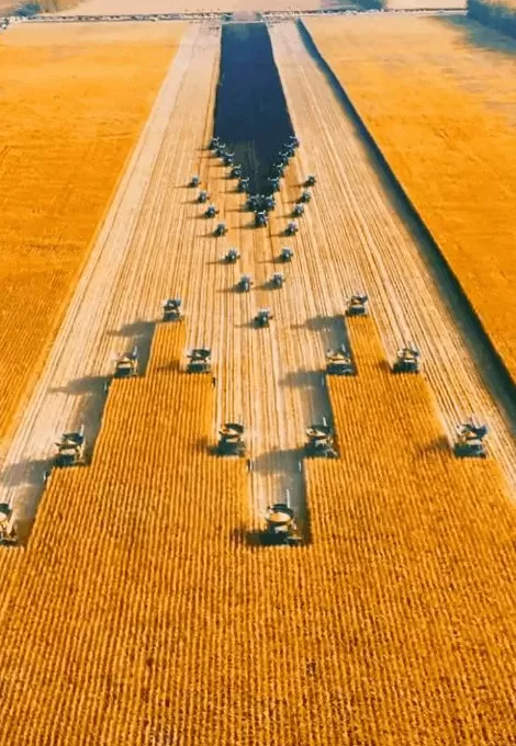 今年十一最大赢家：去农村-第4张图片-