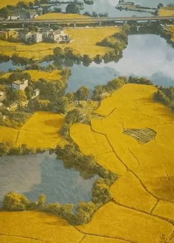 今年十一最大赢家：去农村-第2张图片-