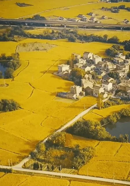 今年十一最大赢家：去农村-第3张图片-