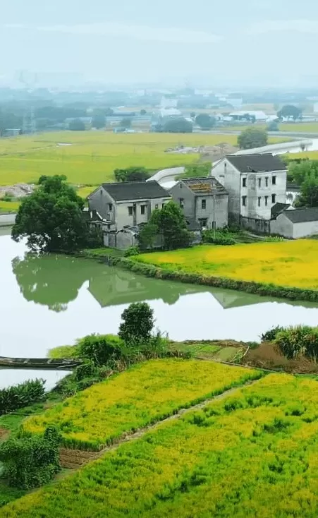 今年十一最大赢家：去农村-第7张图片-