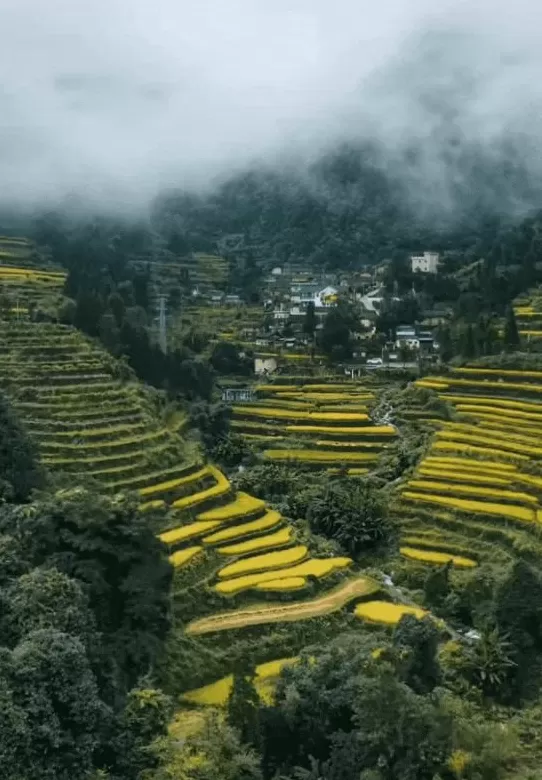 今年十一最大赢家：去农村-第11张图片-