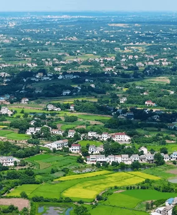 今年十一最大赢家：去农村-第9张图片-