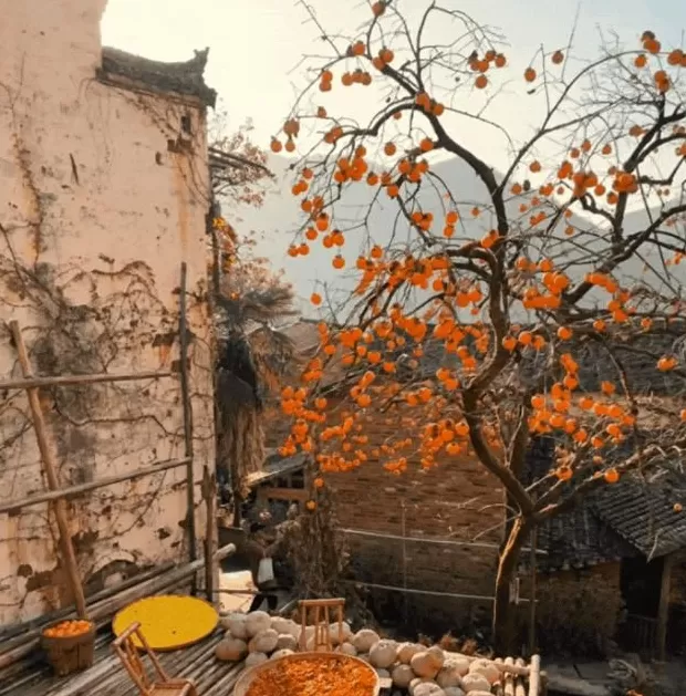 今年十一最大赢家：去农村-第13张图片-