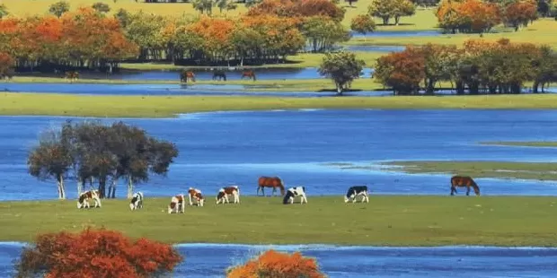 今年十一最大赢家：去农村-第15张图片-