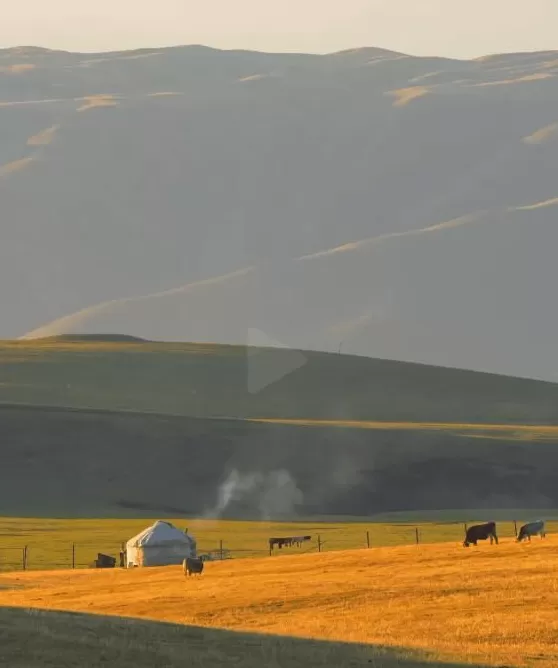 今年十一最大赢家：去农村-第16张图片-