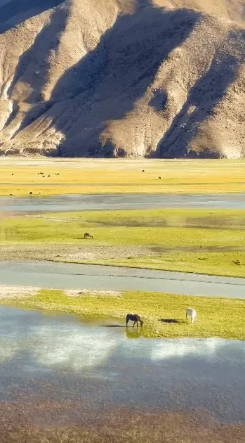 今年十一最大赢家：去农村-第17张图片-
