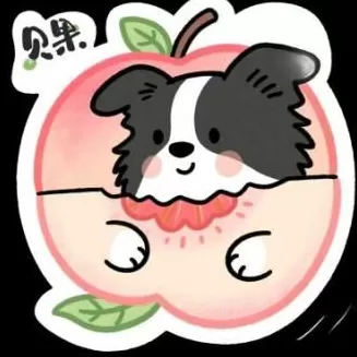 青春有Young｜让城市看见乡野的耕耘，“蔬果主理人”成长记-第4张图片-