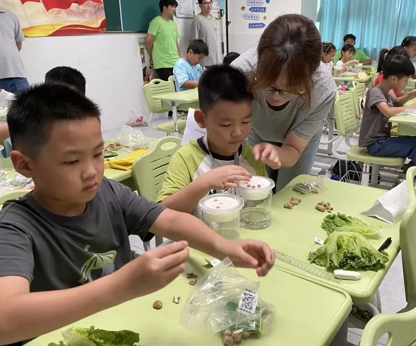 青春有Young｜让城市看见乡野的耕耘，“蔬果主理人”成长记-第8张图片-